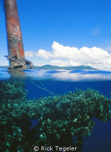Fujikawa mast. by Rick Tegeler 